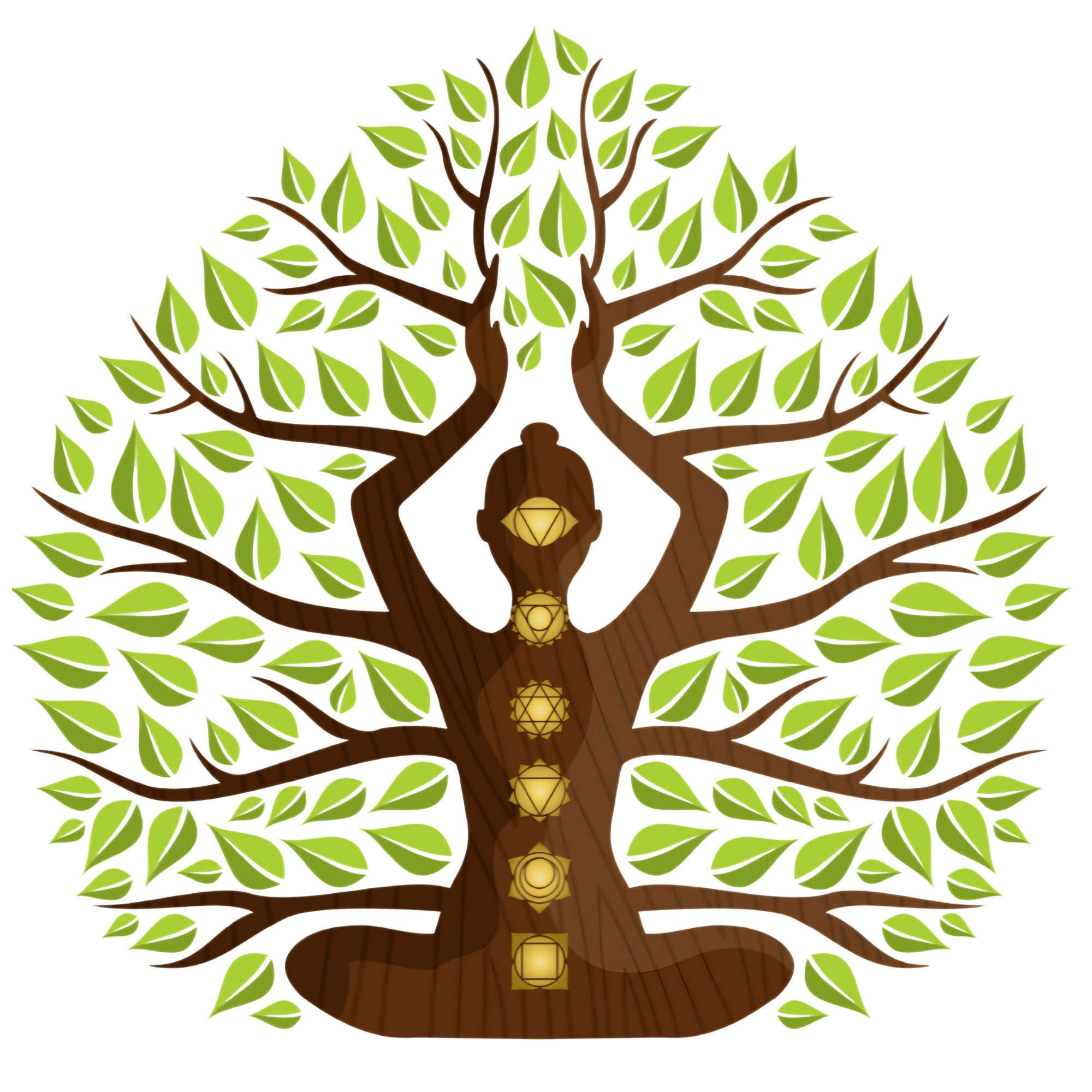 High Desert Meditation and Vibrational Therapy